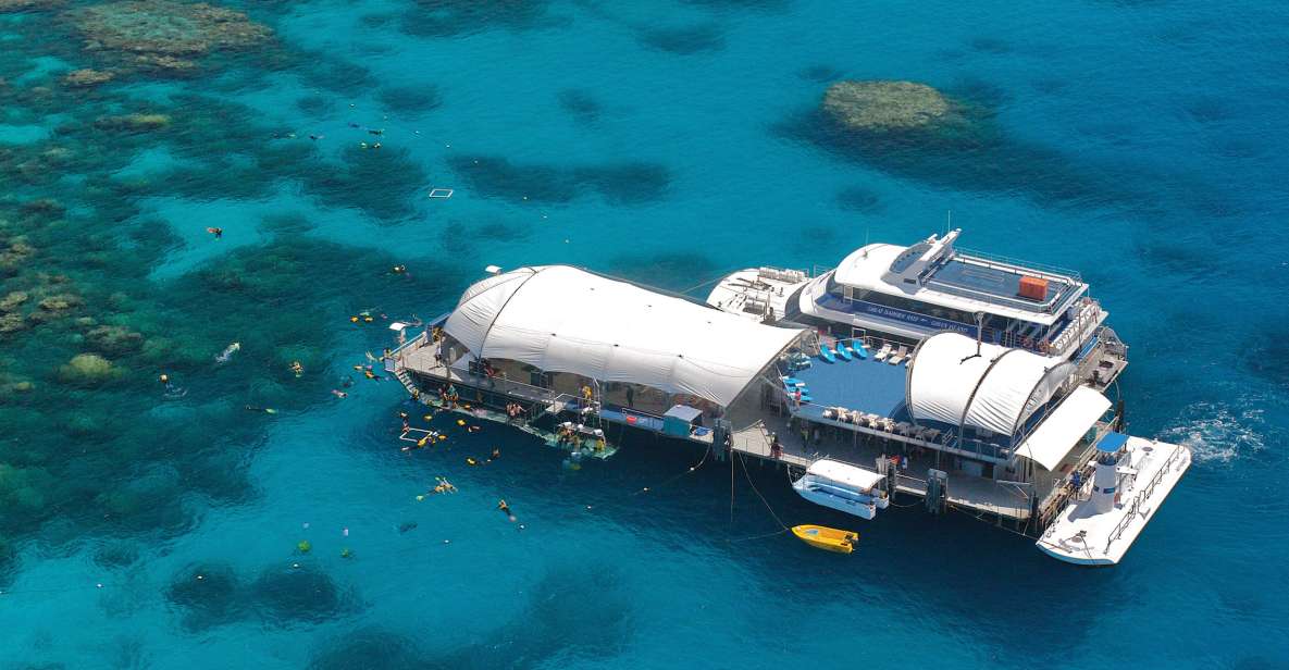 From Cairns: Great Barrier Reef Cruise and Activity Platform - Key Points