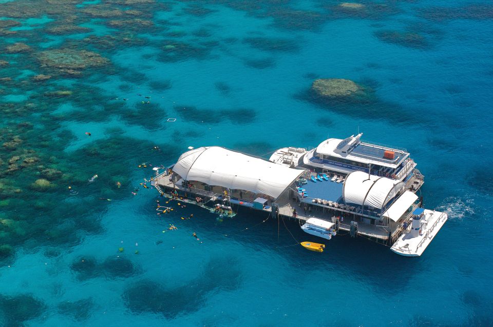From Cairns: Great Barrier Reef Cruise and Activity Platform - Description