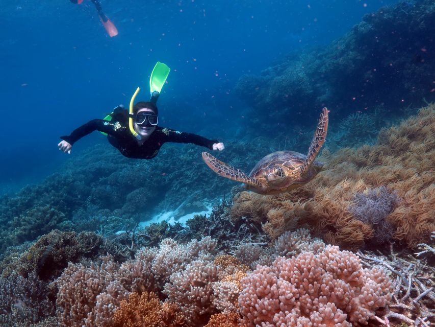 From Cairns: Great Barrier Reef Cruise and Activity Platform - Booking Information