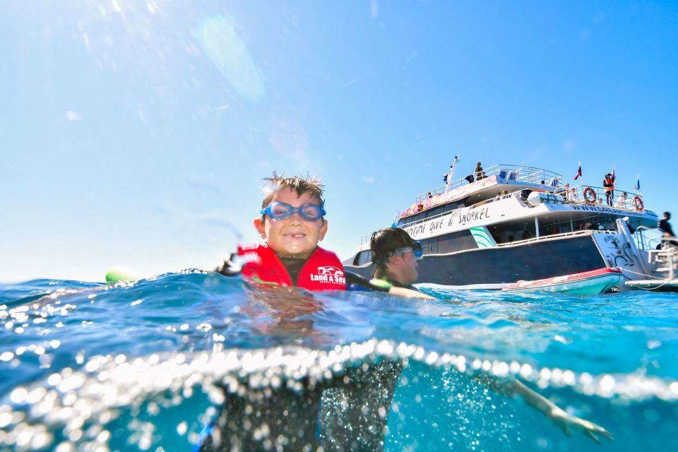 From Cairns: Great Barrier Reef Snorkeling Trip With Lunch - Key Points