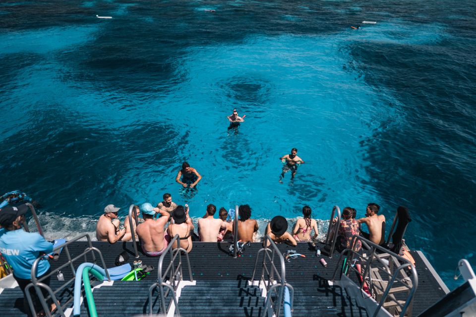 From Cairns: Great Barrier Reef Snorkeling Trip With Lunch - Activity Highlights