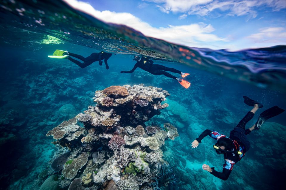 From Cairns: Great Barrier Reef Snorkeling Trip With Lunch - Customer Reviews