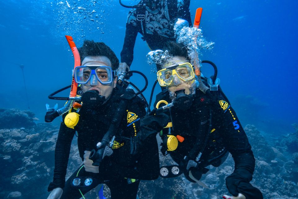 From Cairns: Great Barrier Reef Snorkeling Trip With Lunch - Additional Information