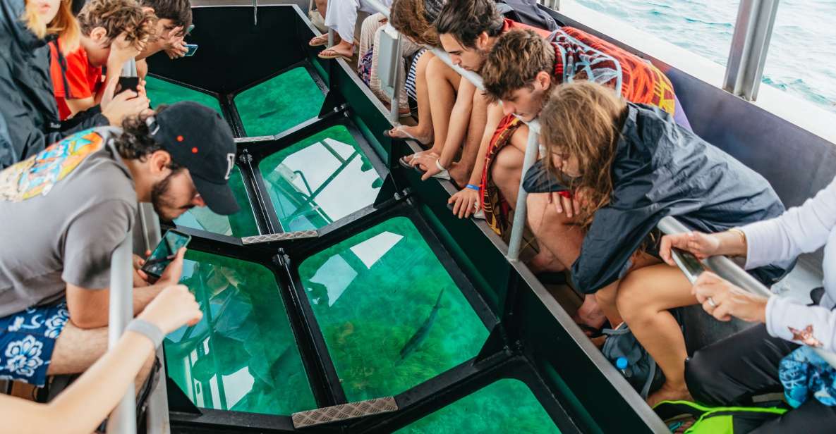 From Cairns: Green Island Full-Day Cruise - Tour Experience