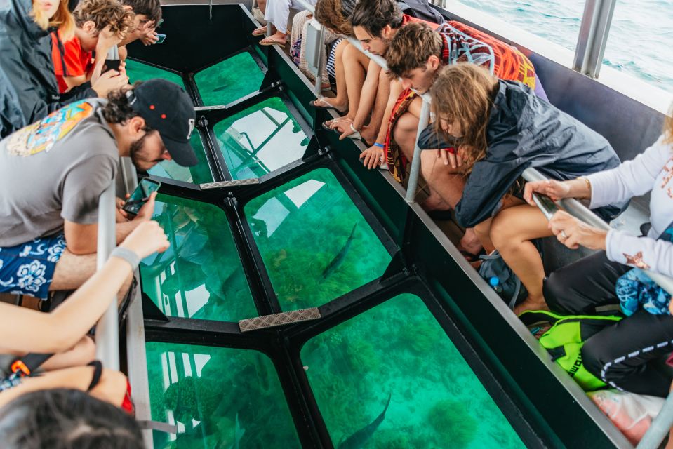From Cairns: Green Island Full-Day Cruise - Inclusions