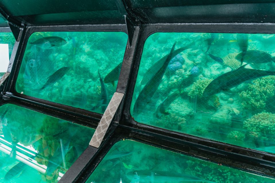 From Cairns: Green Island Full-Day Cruise - Customer Reviews