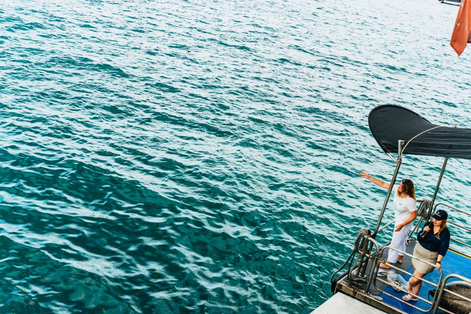From Cairns: Green Island Full-Day Cruise - Logistics