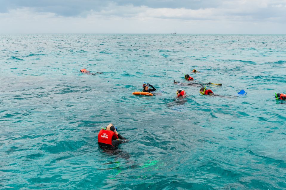 From Cairns: Green Island Full-Day Cruise - Recap