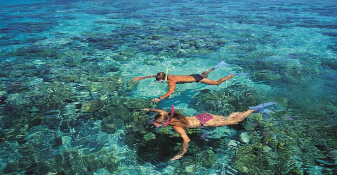 From Cairns: Green Island Half-Day Morning Cruise - Experience Highlights