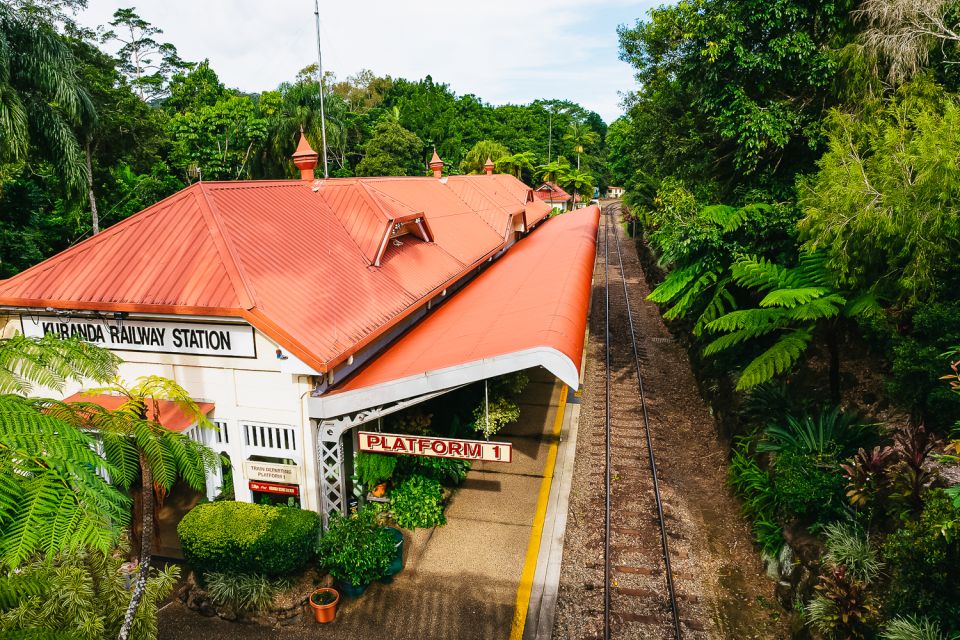 From Cairns: Kuranda Day Trip With Kuranda Train and Skyrail - Activity Highlights