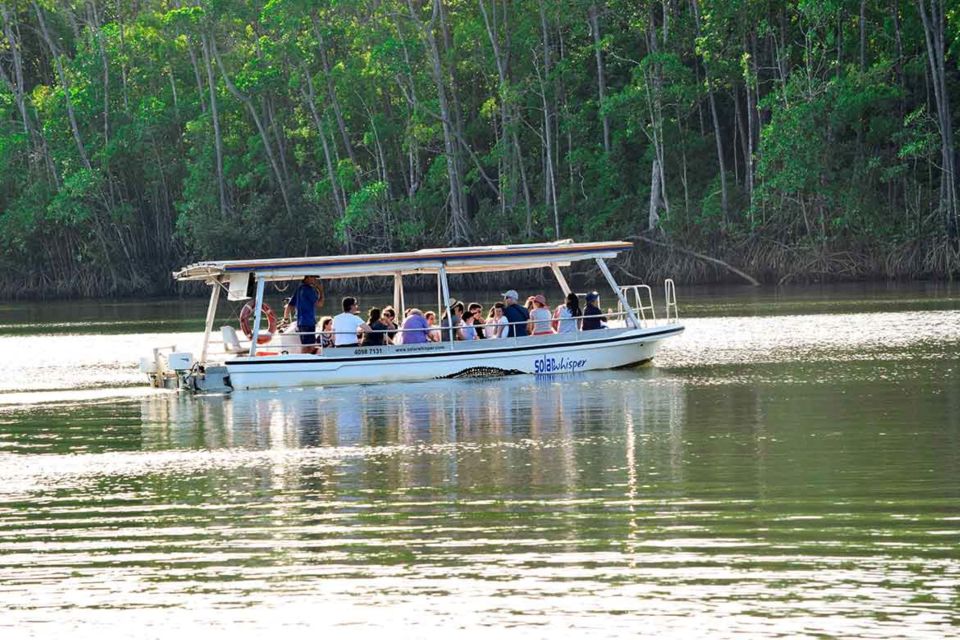 From Cairns: Mossman Gorge Tour & Daintree Rainforest Cruise - Inclusions