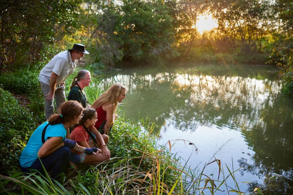 From Cairns: Rainforest & Nocturnal Wildlife Tour - Highlights