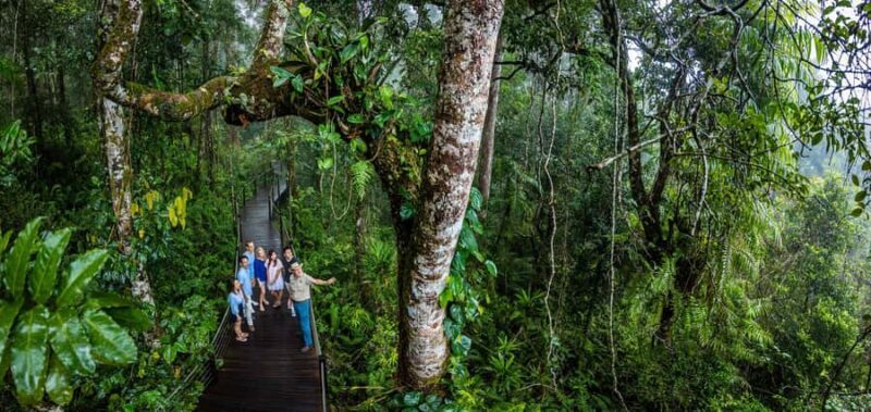 From Cairns: Self-Guided Kuranda Trip with Train and Skyrail - Who Will Love This Tour?