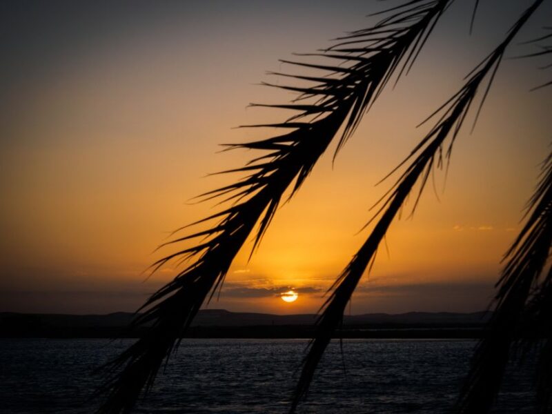 From Cairo: 3-Day Siwa Oasis and Western Desert Private Trip - Inclusions and Exclusions