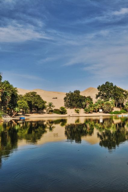 From Cairo: 3- Days El-Alamin, Siwa Oasis & Desert Safari - Customer Reviews