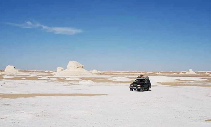 From Cairo: 7-Day Siwa, Bahariya & White Desert Private Tour - Inclusions and Amenities