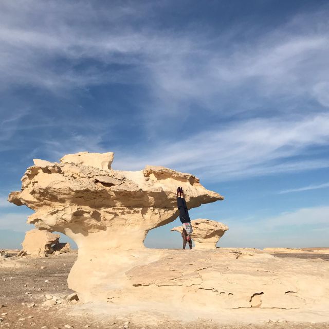 From Cairo: 7-Day Siwa, Bahariya & White Desert Private Tour - Customer Reviews