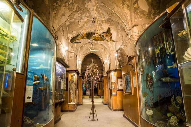 From Cairo: Alexandria Catacombs and Citadel Day Trip With Lunch - Itinerary Details