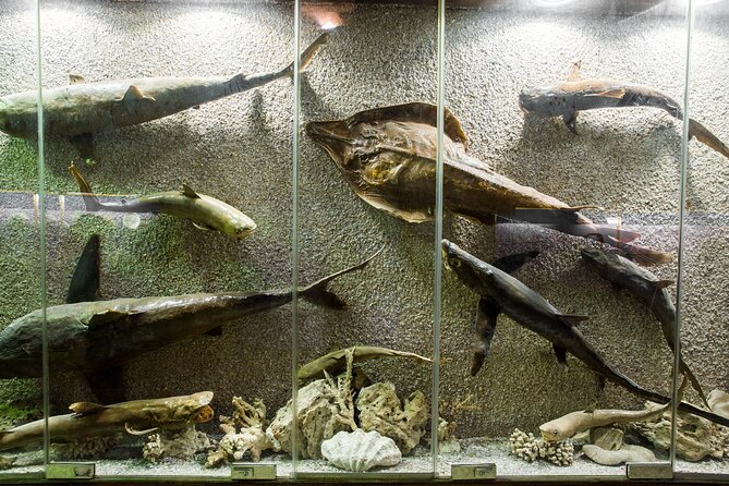 From Cairo: Alexandria Catacombs and Citadel Day Trip With Lunch - Booking and Cancellation Policy