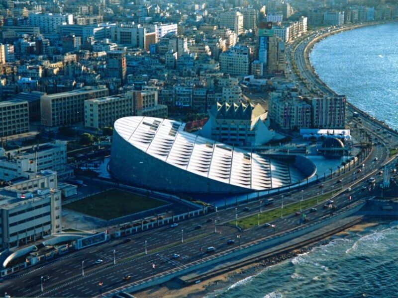 From Cairo: Alexandria Day Tour - Customer Experience Ratings