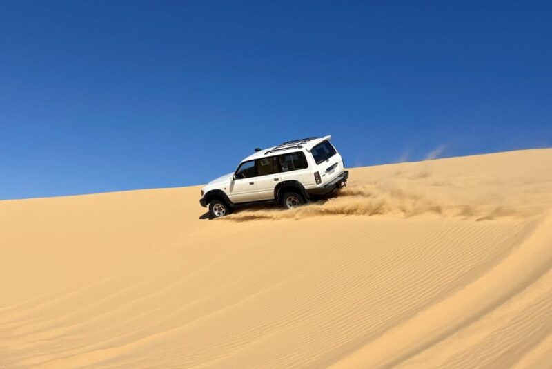 From Cairo: Desert Safari, Camel Ride, Magic Lake, & Lunch - Included Features and Amenities