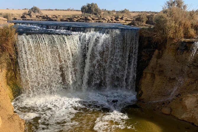 From Cairo: Desert Safari, Waterfalls, Sand Boarding and Camel Ride With Lunch - Desert Activities and Experiences