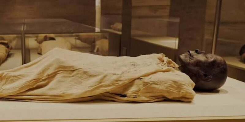 From Cairo: Egyptian and Civilization Museums Private Tour - Good To Know
