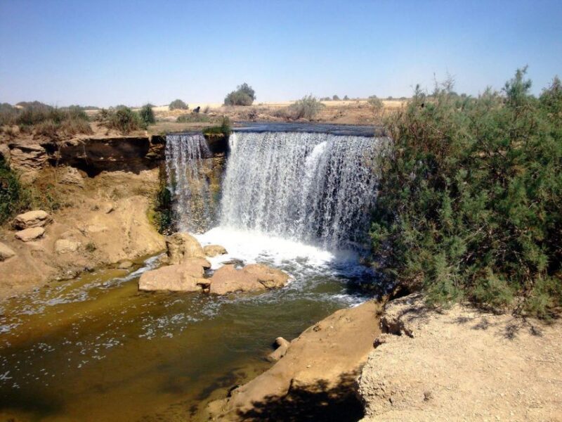 From Cairo: Full-Day Tour To El Fayoum - Good To Know