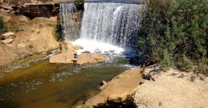 From Cairo: Full-Day Tour To El Fayoum - Itinerary Highlights