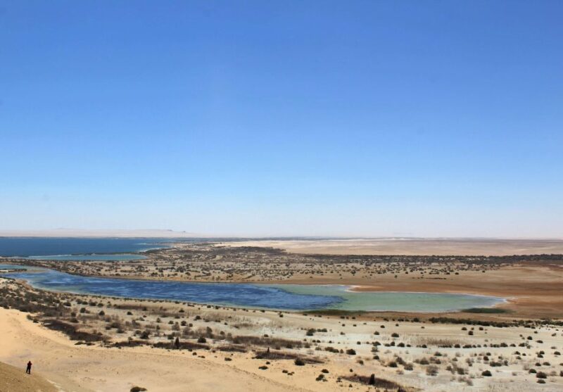 From Cairo: Full-Day Tour To El Fayoum - Included Amenities