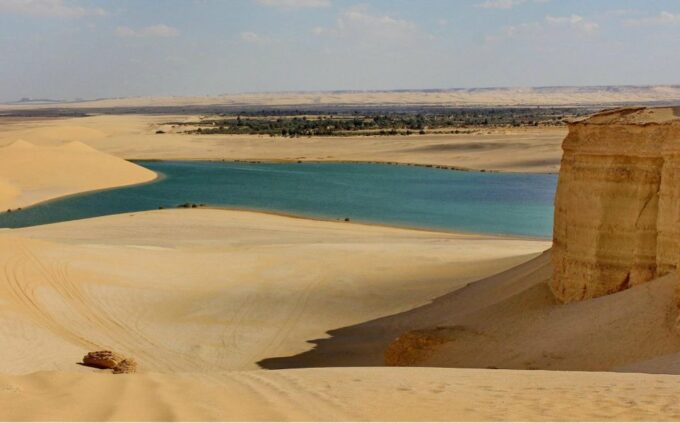 From Cairo: Full-Day Tour To El Fayoum - Customer Reviews and Ratings