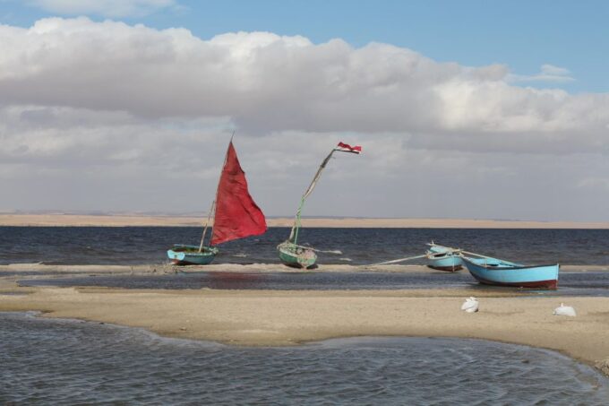 From Cairo: Full-Day Tour To El Fayoum - Booking Information and Policies