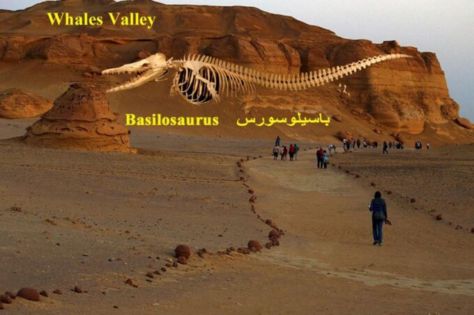 From Cairo: Full-Day Tour To El Fayoum - Frequently Asked Questions