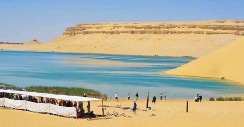 From Cairo: Whale Valley and Wadi El Rayan Waterfalls Tour - Good To Know