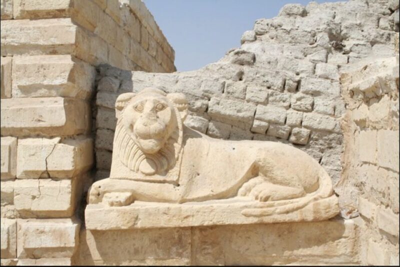 From Cairo: Whale Valley and Wadi El Rayan Waterfalls Tour - Transportation Details