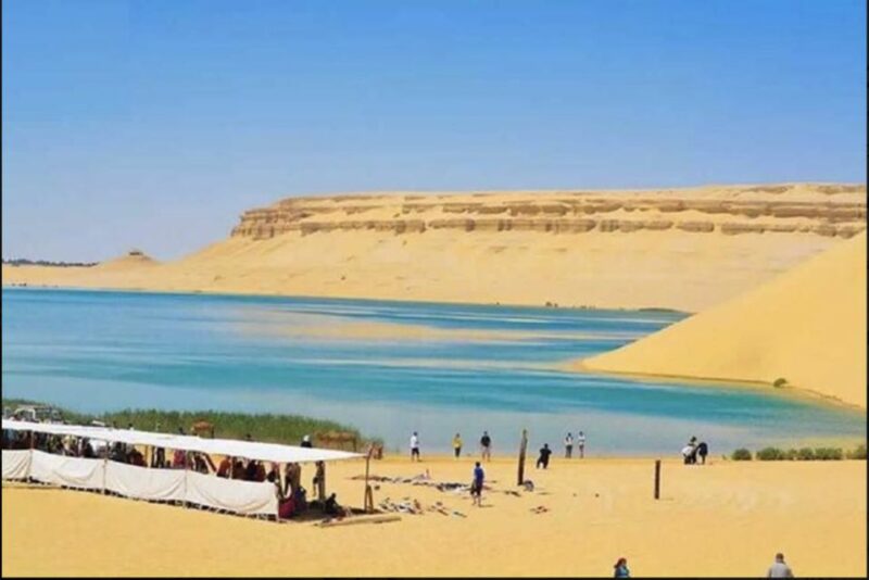 From Cairo: Whale Valley and Wadi El Rayan Waterfalls Tour - Optional Overnight Experience