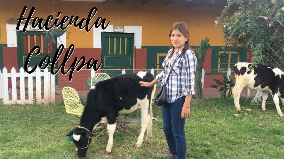 From Cajamarca: Historic Cajamarca 7D/6N - Daily Itinerary Overview