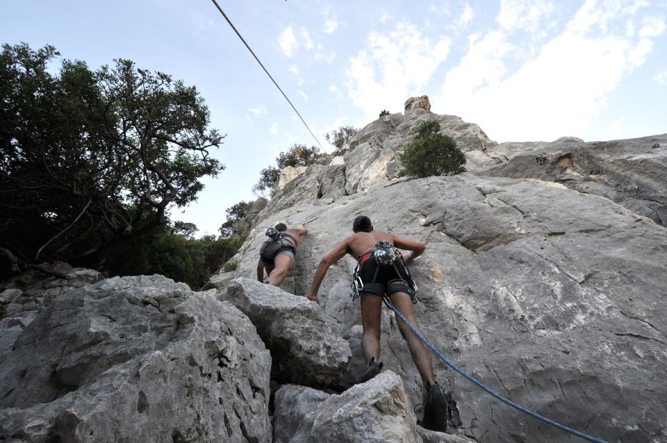 From Cala Gonone: Canyon Codula Fuili Climbing Tour - Key Points