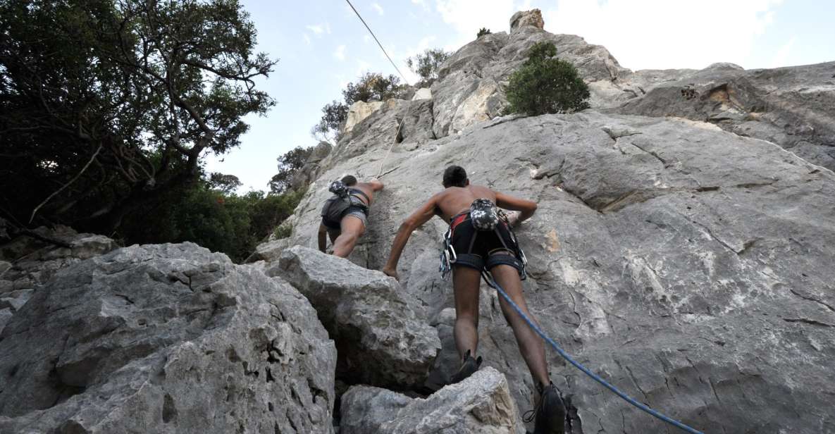 From Cala Gonone: Canyon Codula Fuili Climbing Tour - Guided by Local Climbing Experts