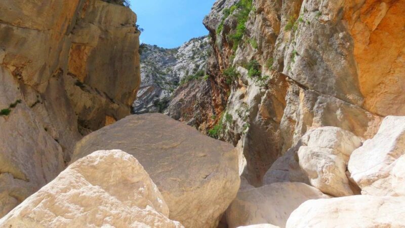 From Cala Gonone: Gorropu hiking with lunch - Key Points