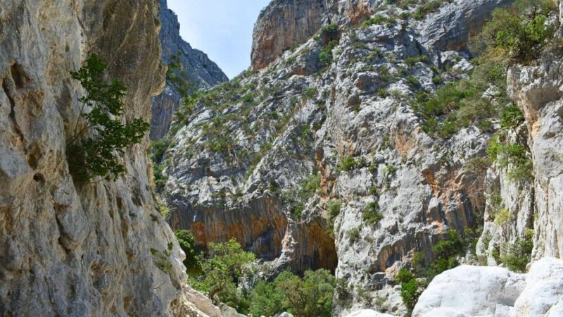 From Cala Gonone: Gorropu hiking with lunch - The Return and Reflection
