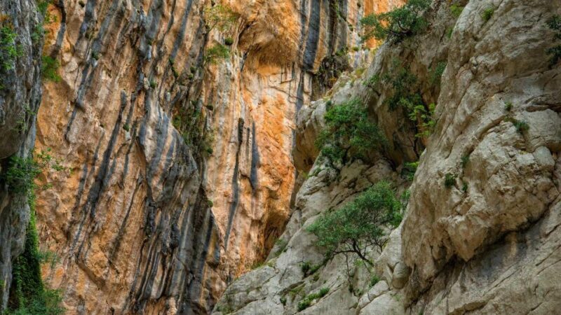 From Cala Gonone: Gorropu hiking with lunch - Pricing and Value