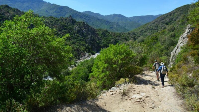 From Cala Gonone: Gorropu hiking with lunch - Final Thoughts
