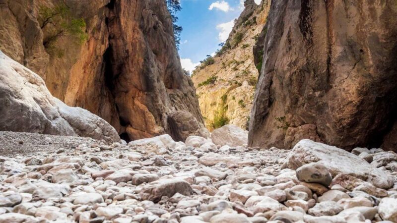 From Cala Gonone: Gorropu hiking with lunch - FAQ