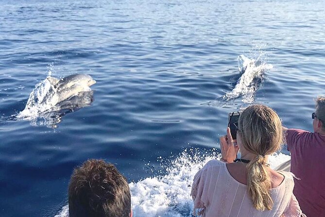From Cala Gonone: Naturalistic Excursion on a RIB - Participant Reviews and Insights