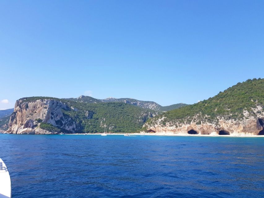 From Cala Gonone: Orosei Gulf Cruise With Stops - Frequently Asked Questions