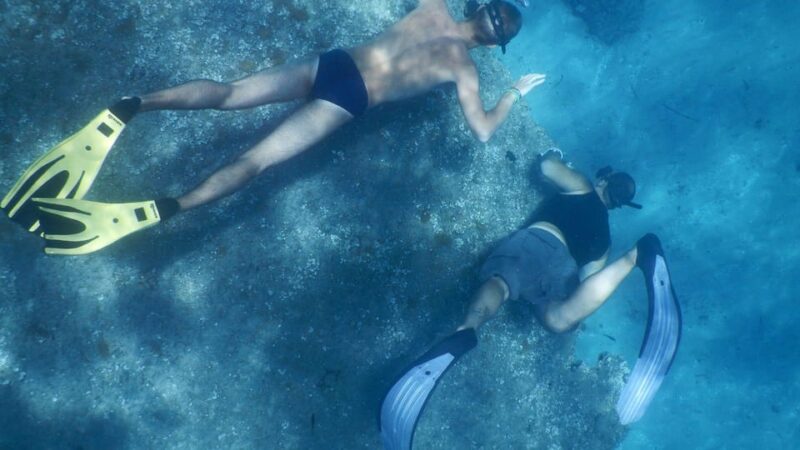 From Cala Gonone: Snorkeling in the Orosei Gulf - Experience Details