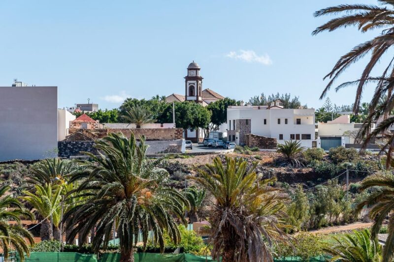 From Caleta De Fuste: Explore Rural Fuerteventura Tour - 928Q+29 Los Alares: Guided Tour and Wildlife Viewing