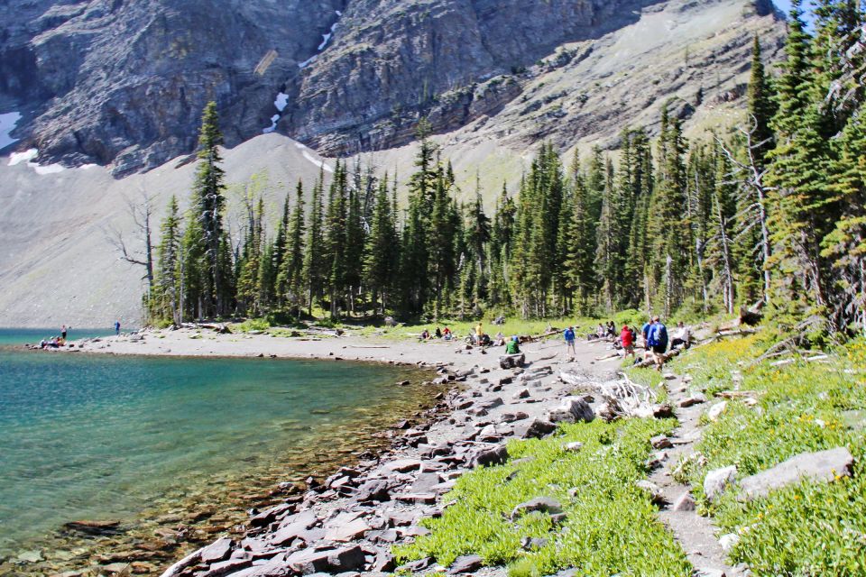 From Calgary: 1-Day Waterton Lakes National Park Tour - Observing Bison in Their Natural Habitat