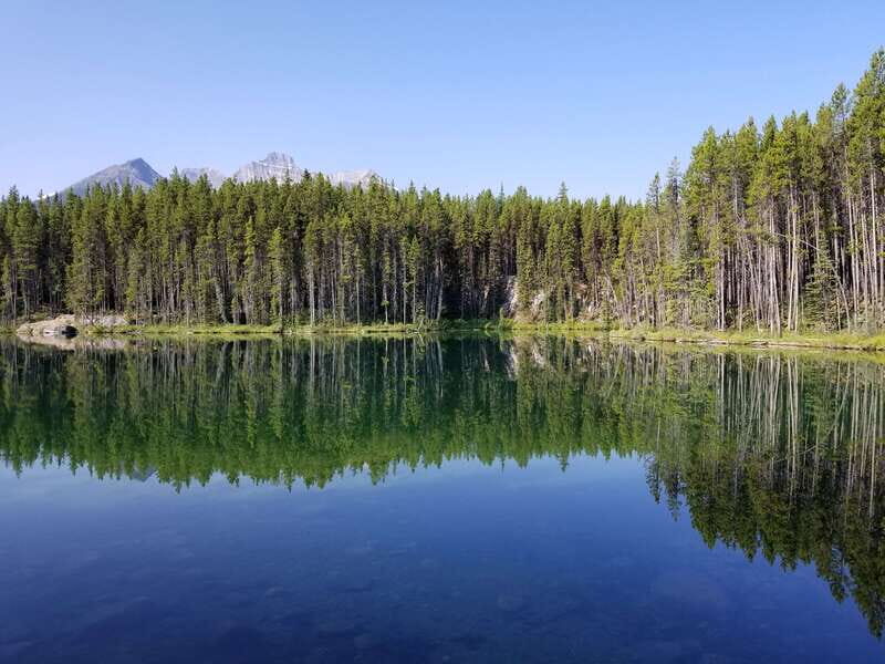 From Calgary/Banff: Columbia Icefield Glacier Full-Day Trip - Final Thoughts  